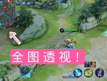 王者荣耀透视客户端防封版(王者荣耀透视客户端防封版下载)
