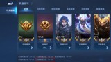 王者荣耀：全辅助国服达成，辅神成为全网第一个单位置全国服玩家